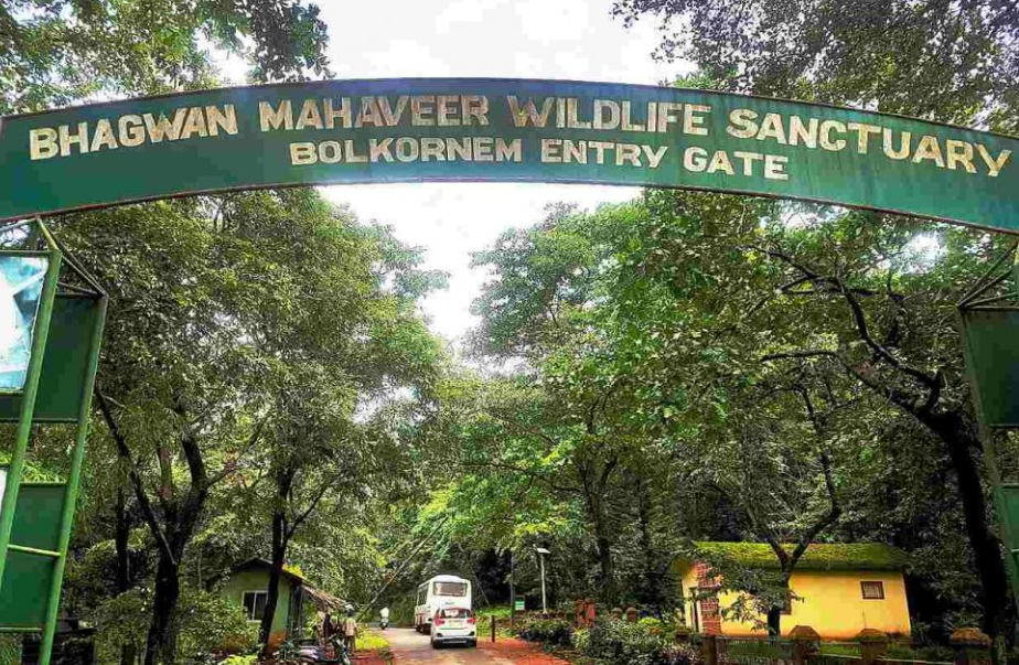 Bhagwan Mahaveer Sanctuary and Mollem National Park, South Goa, Goa - Vushii.com Bhagwan Mahaveer Sanctuary and Mollem National Park, South Goa, Goa - Vushii.com